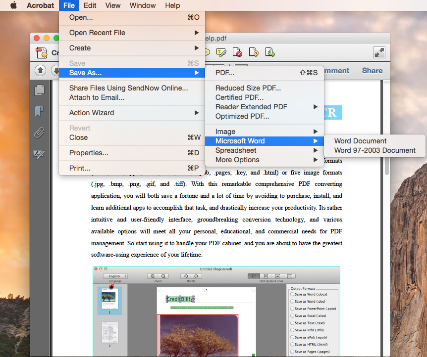 how-to-convert-pdf-to-word-online-free-no-email-pdf-to-word-converter